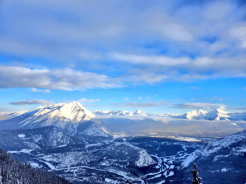 💚CHU💙 tweet media