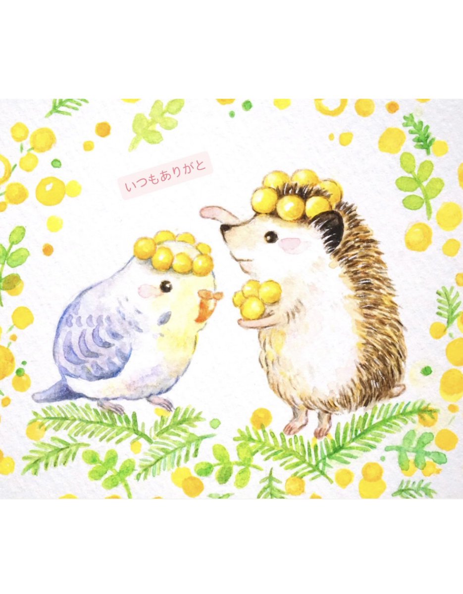 今日　3月8日はミモザの日。
ということで
ミモザイラスト描きました🌸

明後日からハティフナットさんで販売します！

⭐️ 3月10日(火)〜15日(日)
⭐️吉祥寺＊HATTIFNATTの雑貨屋さん＊
⭐️11:00〜19:00
<a href="/hattif_zakka/">HATTIFNATTの雑貨屋さん</a> 

春らしい温かなグッズをお迎えしにぜひ足を運んでみてください😊

#ハティフナット