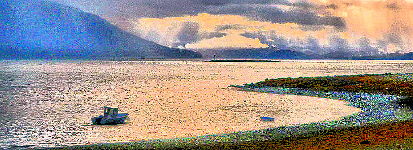 Island Codgers tweet media