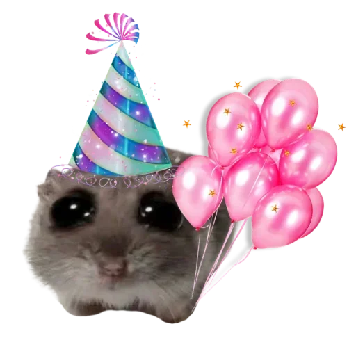 Sad Succulent Ham 🐹🎻• 🐸 tweet media