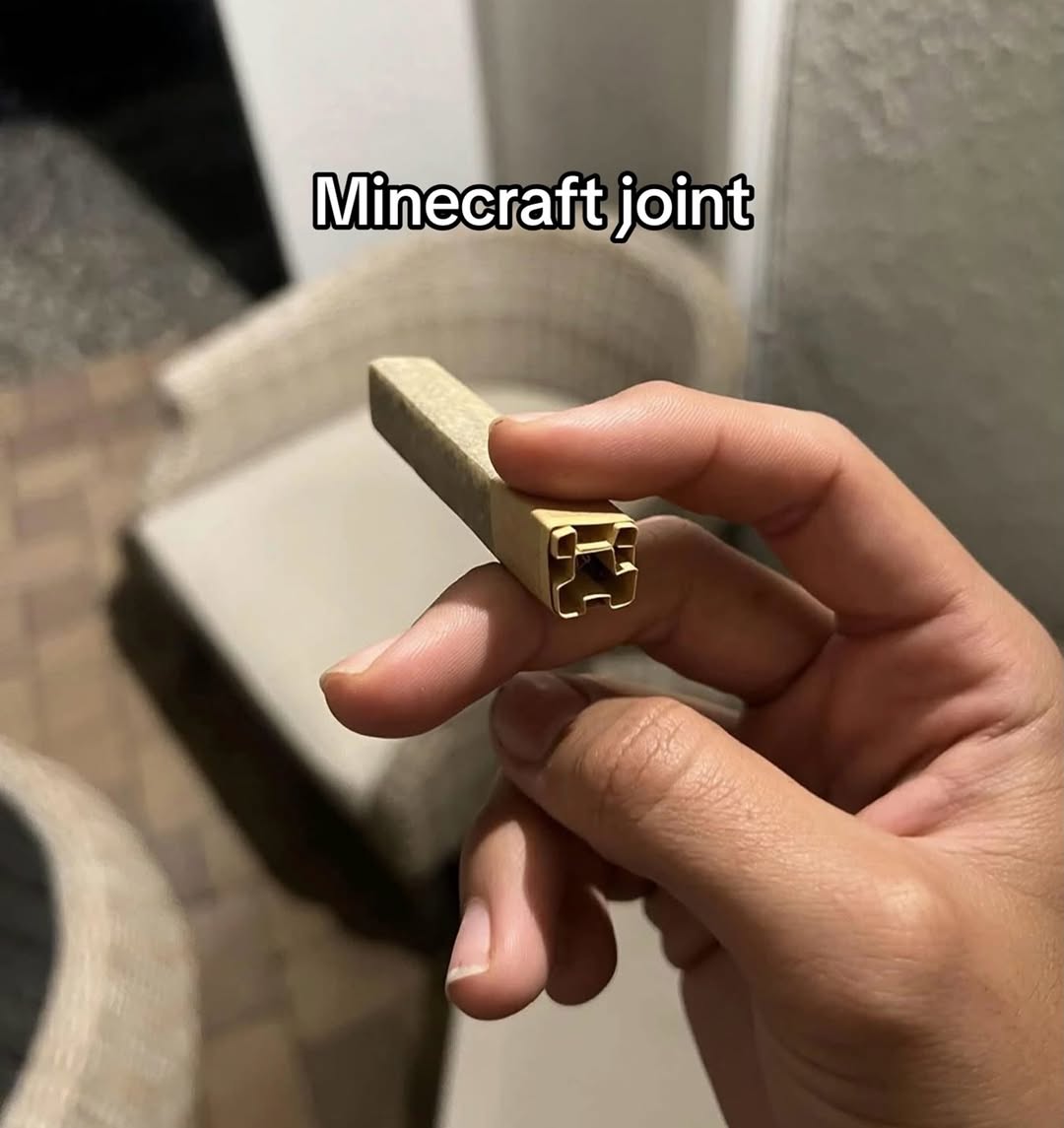SPACECANNABIS's tweet photo. https://t.co/T0lU4ODadx