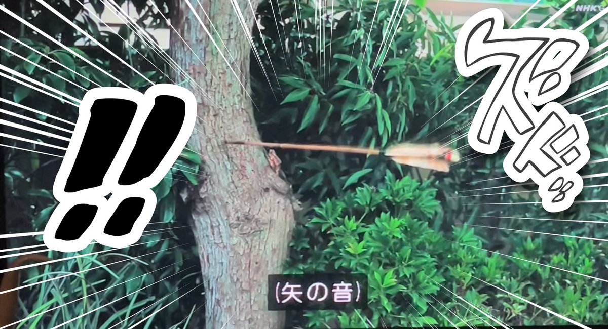 arien0727's tweet photo. 竹中半兵衛の殺る気満々な出迎えに毎回激怒する蜂須賀正勝が可愛すぎる

(行くたびに矢が増える)

#豊臣兄弟 https://t.co/MqTVn8kSOK