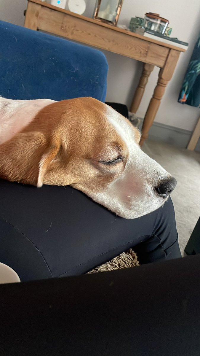 Not_Really_Slartybartfarst tweet media