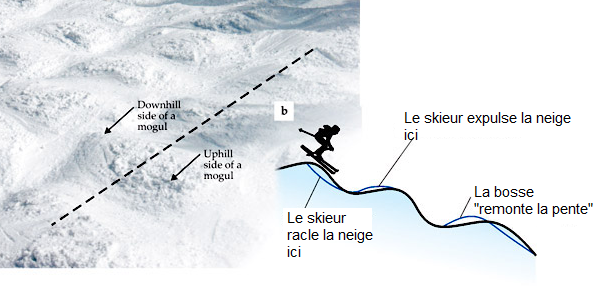 BigBangSciCom's tweet image. La #physique des bosses sur les pistes de #ski ! Saviez-vous qu'elles remontent la piste ?

sweetrandomscience.blogspot.com/2013/02/la-phy…

#ondes #neige