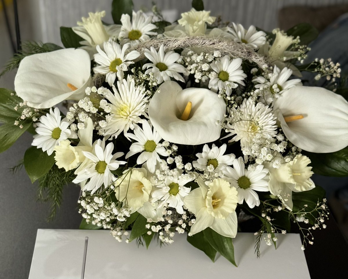 Katrinka tweet media