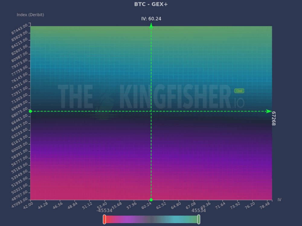 TheKingfisher tweet media