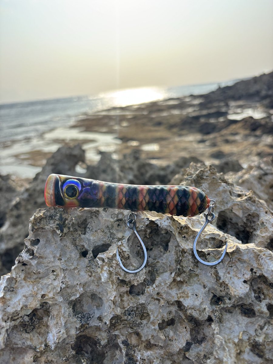 furuko0425's tweet photo. 美しい魚。カスミアジ。
感謝。 https://t.co/YyWrkkDXWy