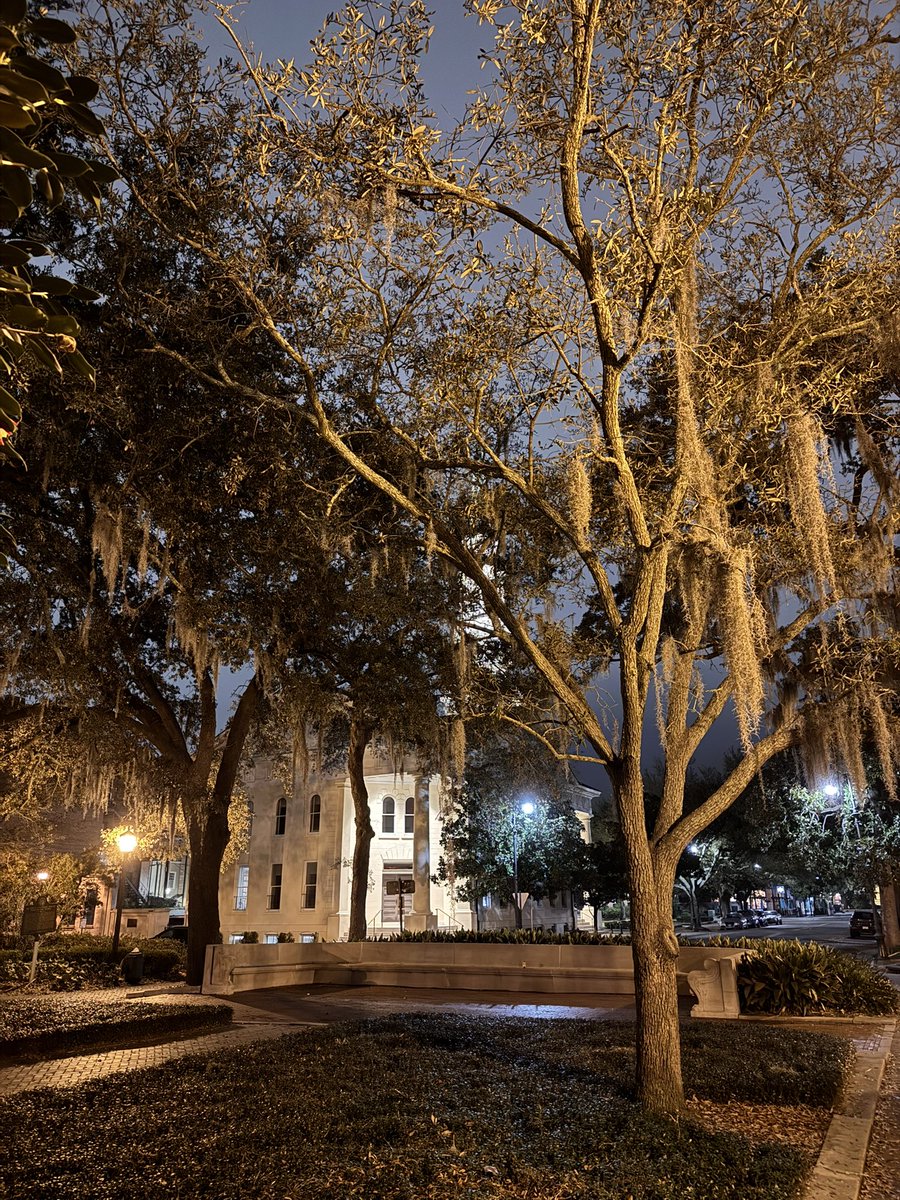 Yaron Rotman tweet media