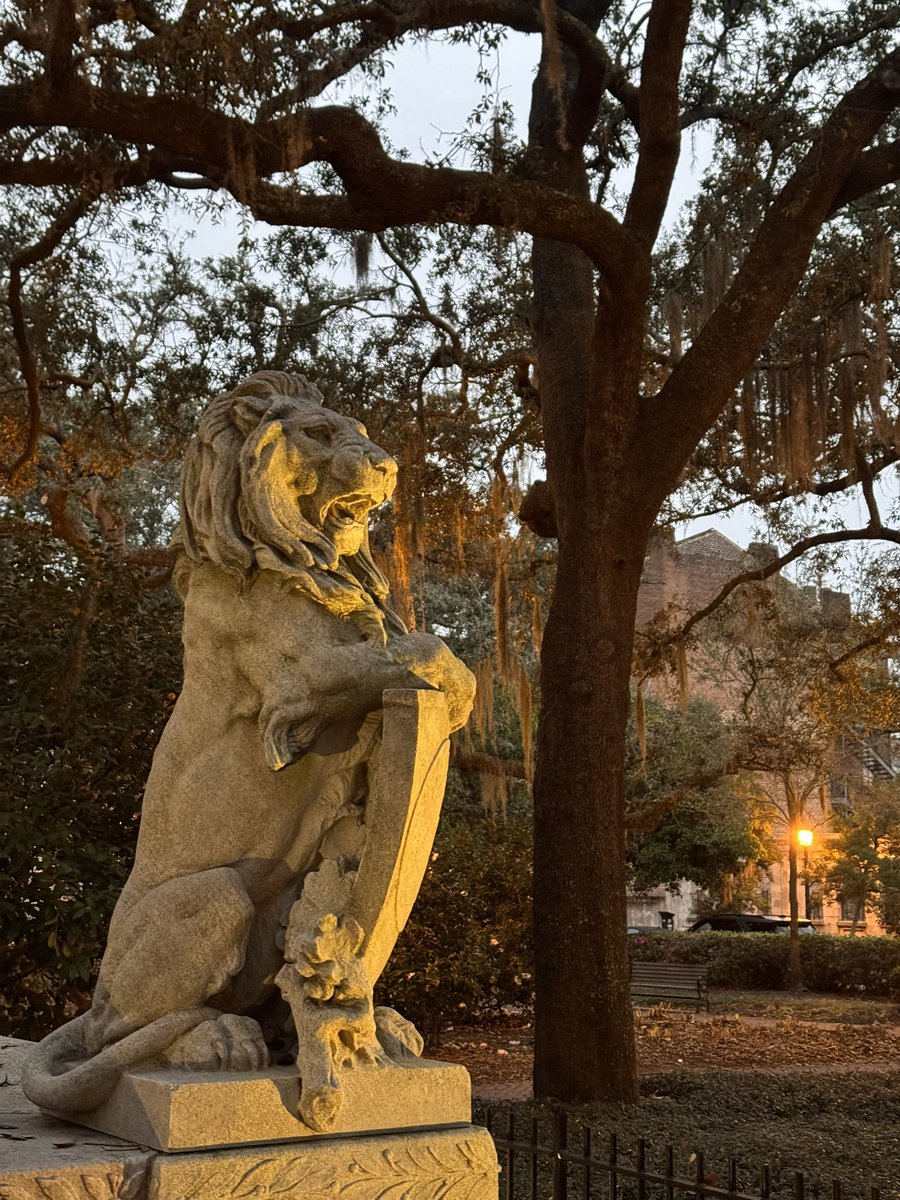 Yaron Rotman tweet media