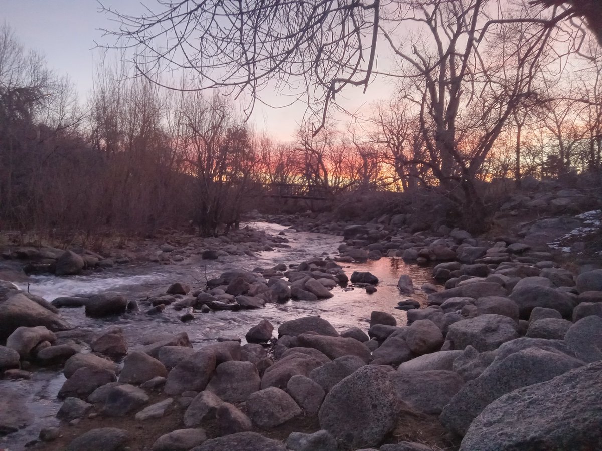 Cedar Rain tweet media