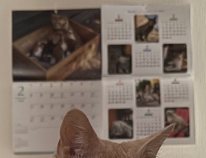 Andrei R 💙💛 tweet media