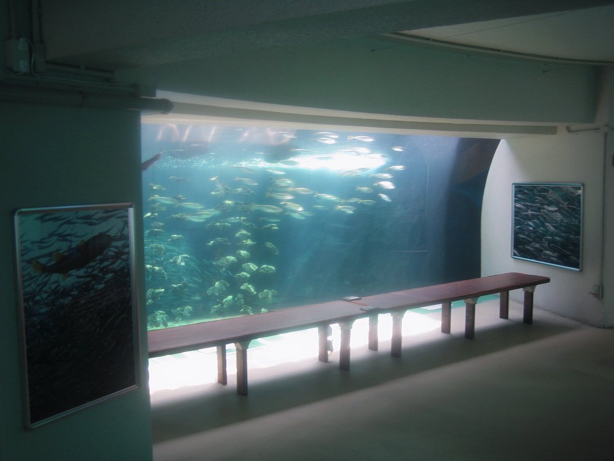 nagi𓅫⸒⸒ tweet media