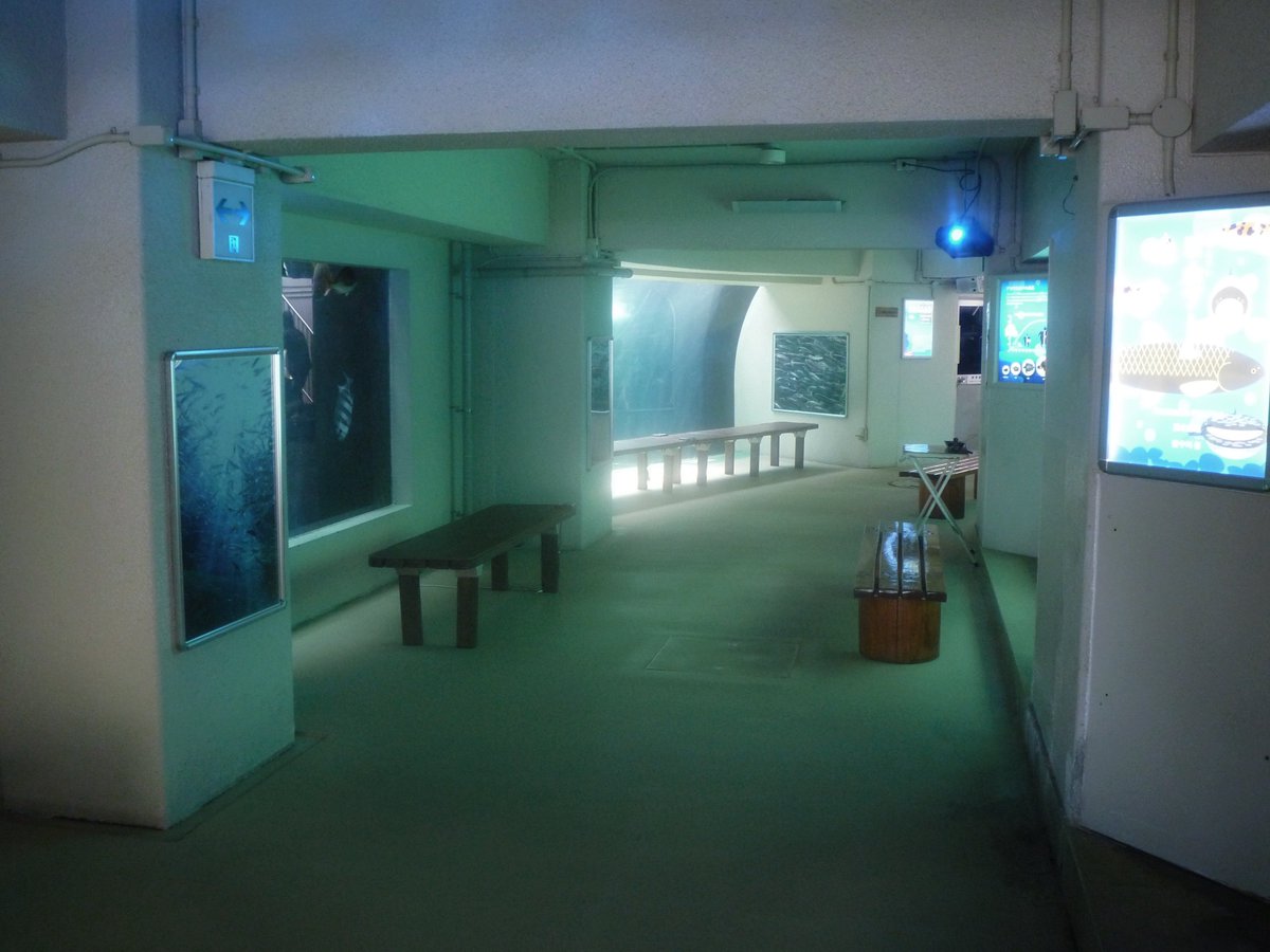 nagi𓅫⸒⸒ tweet media