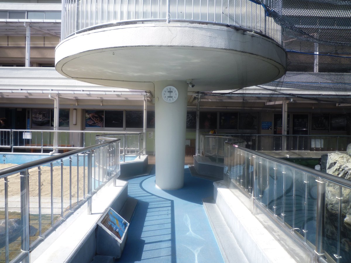 nagi𓅫⸒⸒ tweet media