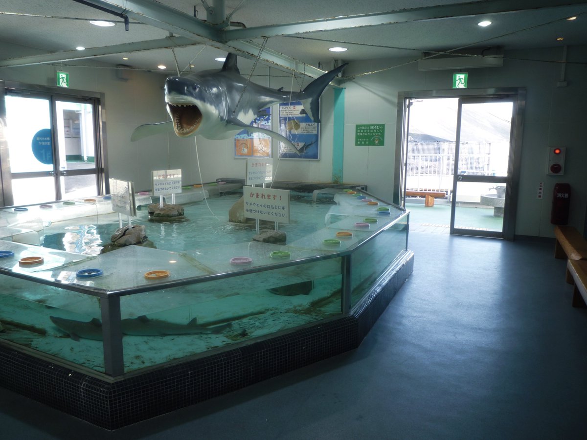 nagi𓅫⸒⸒ tweet media