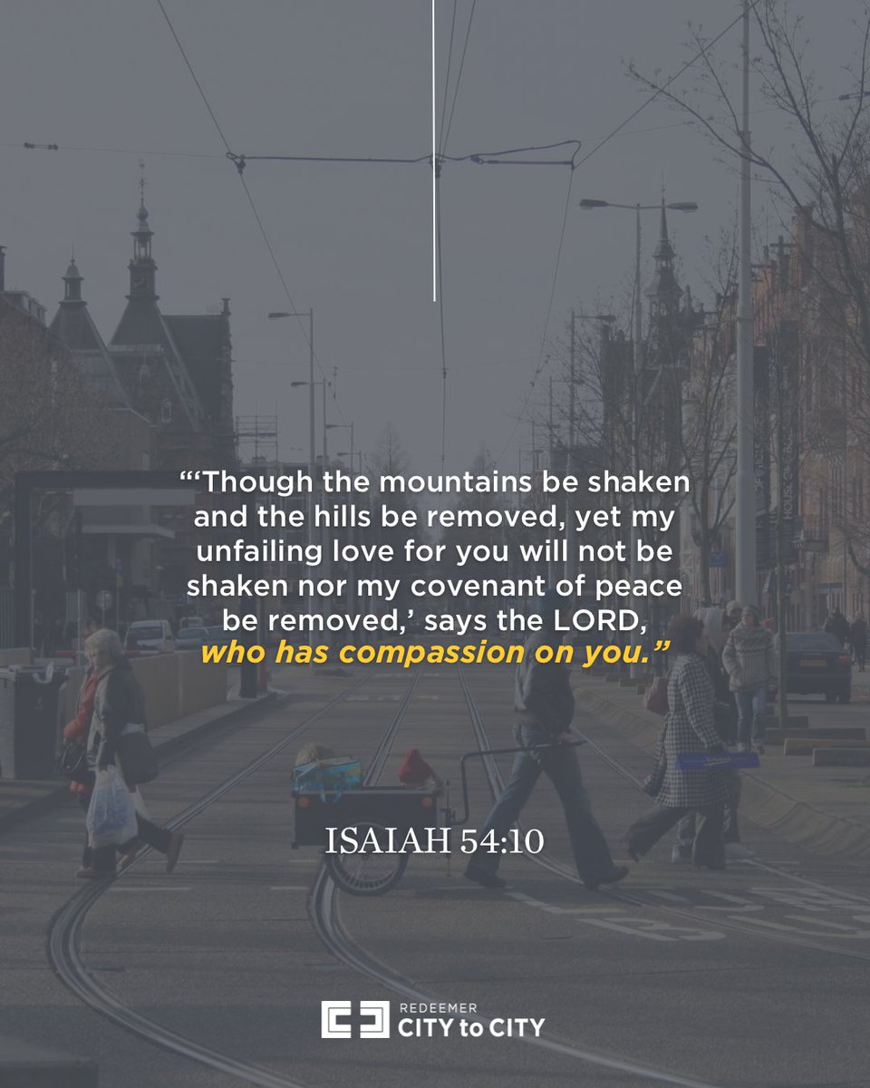 City to City tweet media