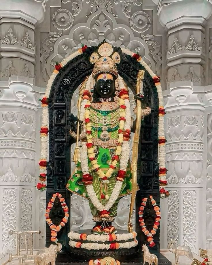 Amrita Pandey tweet media