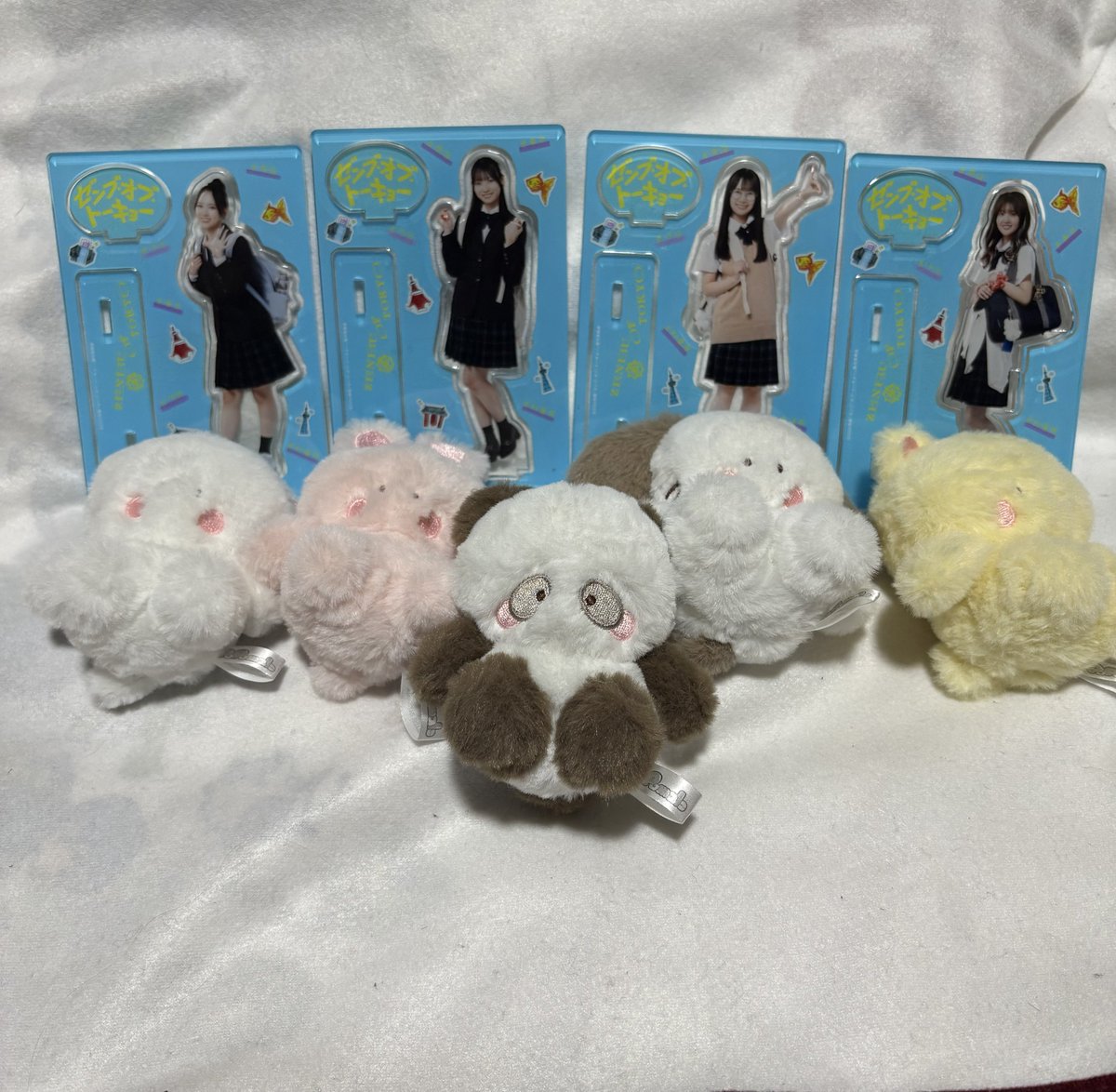 ねこぽた。 (@lllillli08) / Posts / X