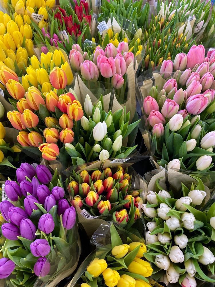 𝑫𝒆𝒂𝒏 𝑹𝒕 ✍🏻 tweet media