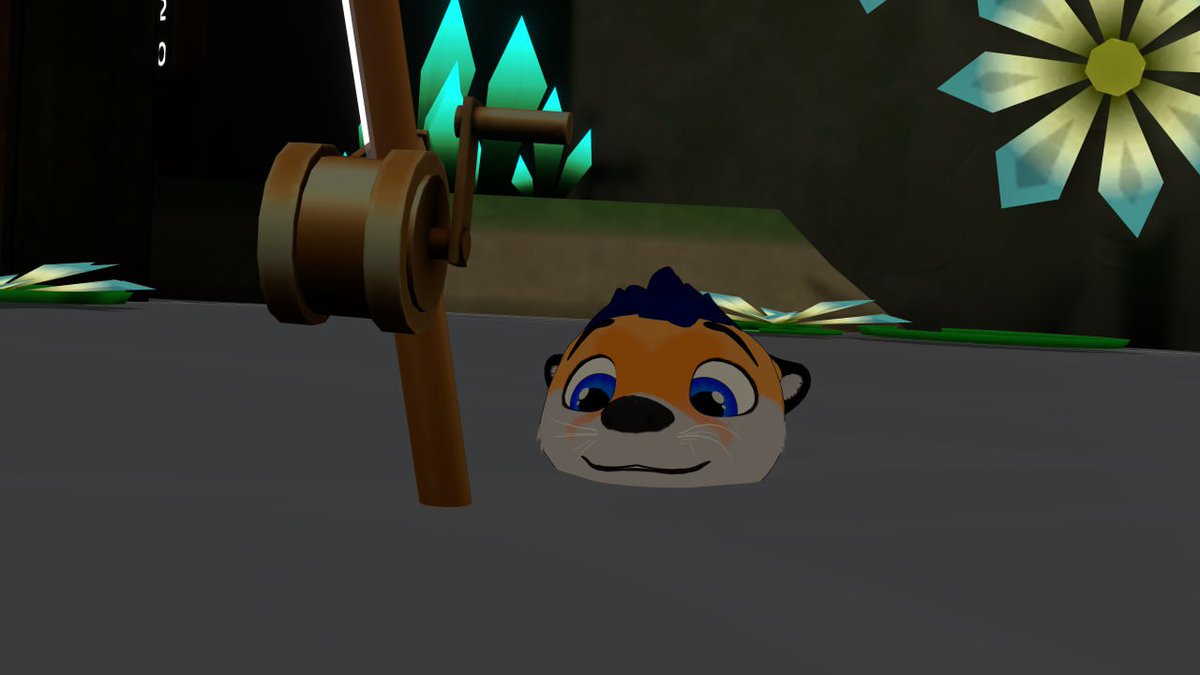 duskro1's tweet photo. Do you want the beta fish https://t.co/9nCFnPaiyf