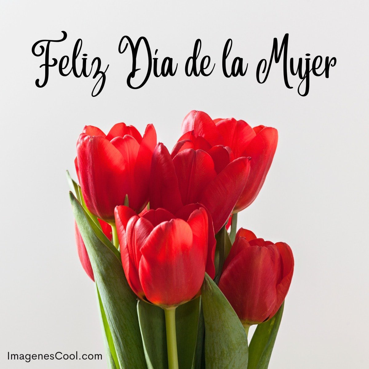 manuel_bocanegr's tweet photo. FELIZ DÍA INTERNACIONAL DE LA MUJER!!!
Su belleza, amor y sensibilidad nos permite existir. Si ellas avanzan, el Mundo avanza.
#FelizDiaDeLaMujer https://t.co/PB4QMRScdM