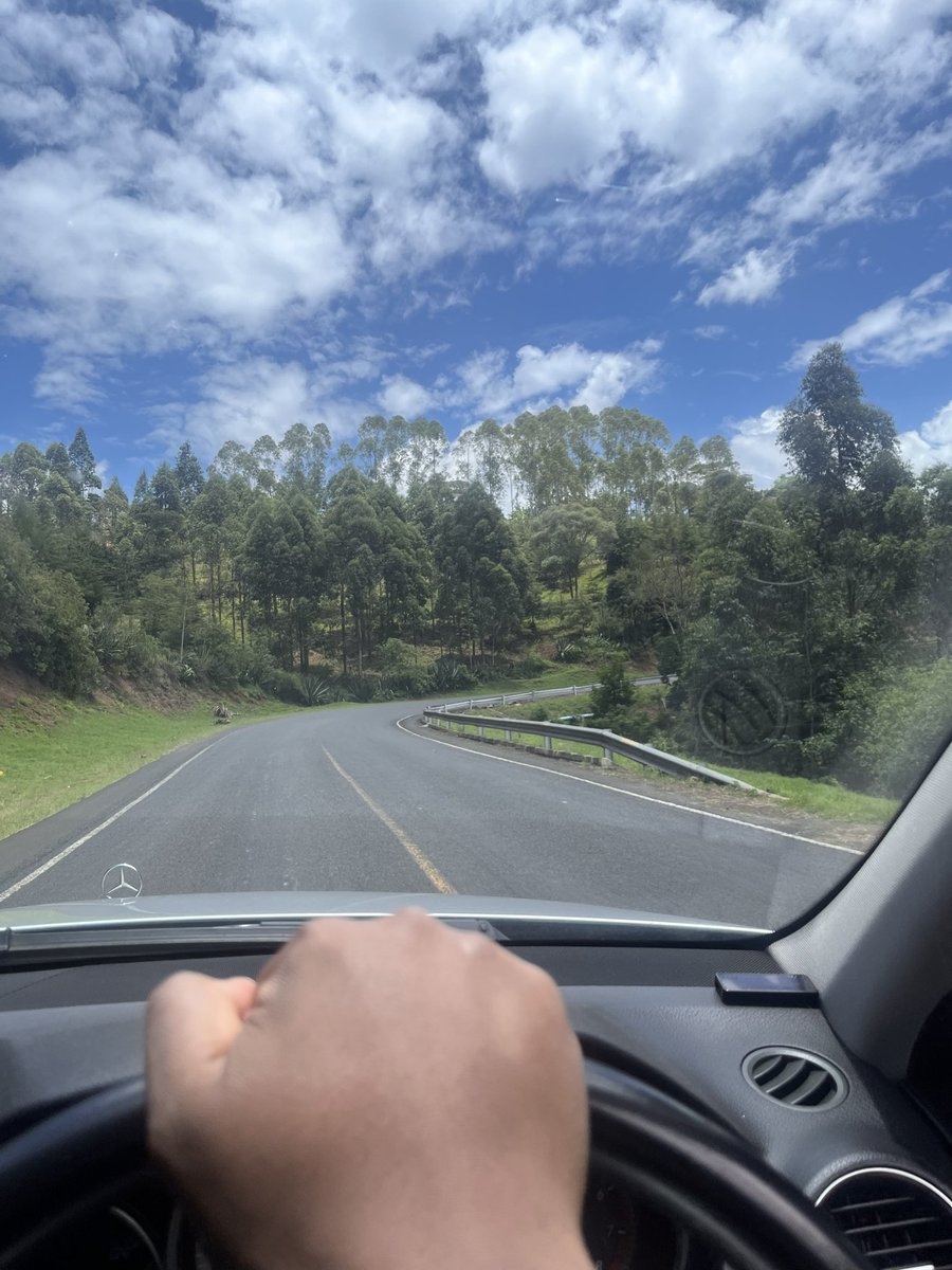 Skipper 🐧 tweet media