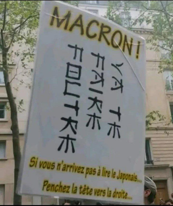 Rosetta Bouvier tweet media