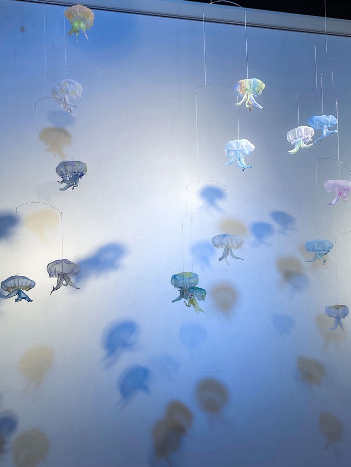 あんずもち tweet media