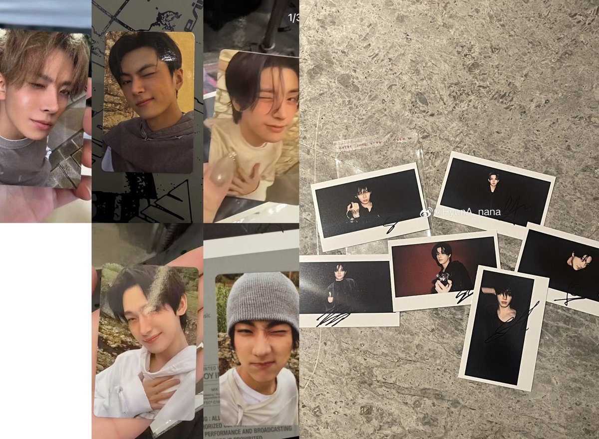 •・PG・• 🐆 fan account tweet media