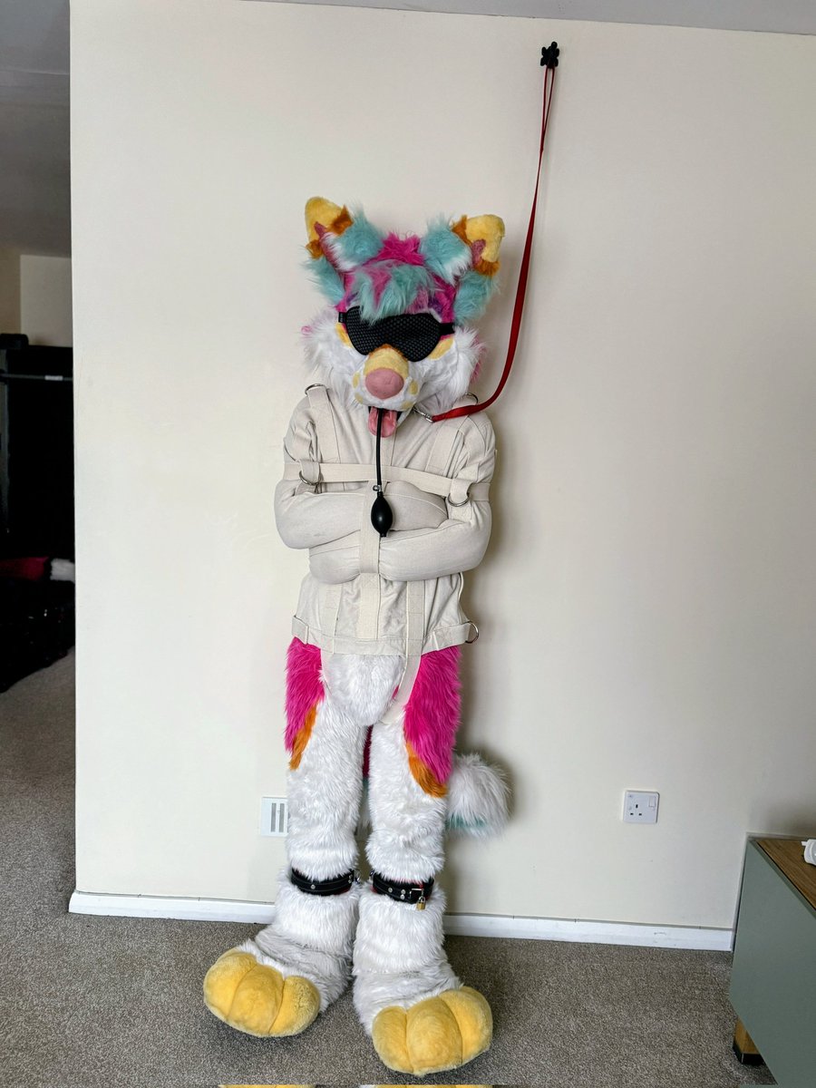 Moon Moist 🔞 tweet media