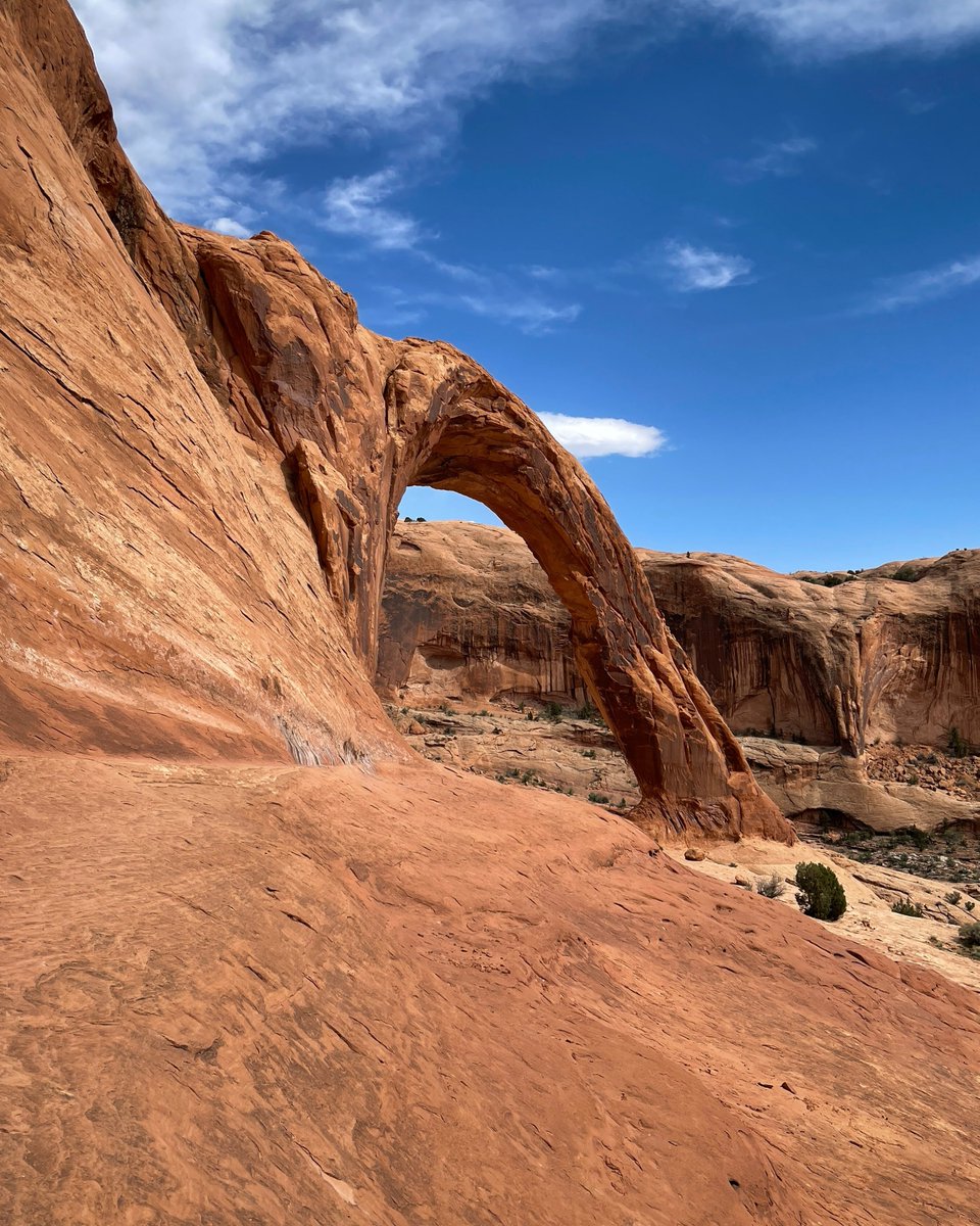 UtahIsAwesome's tweet photo. "There are moments when all anxiety and stated toil are becalmed in the infinite leisure and repose of nature."
– Henry David Thoreau
#utahadventures #utahbucketlist #utahlandscape #desertvibes #utah https://t.co/JTr8sjpobe