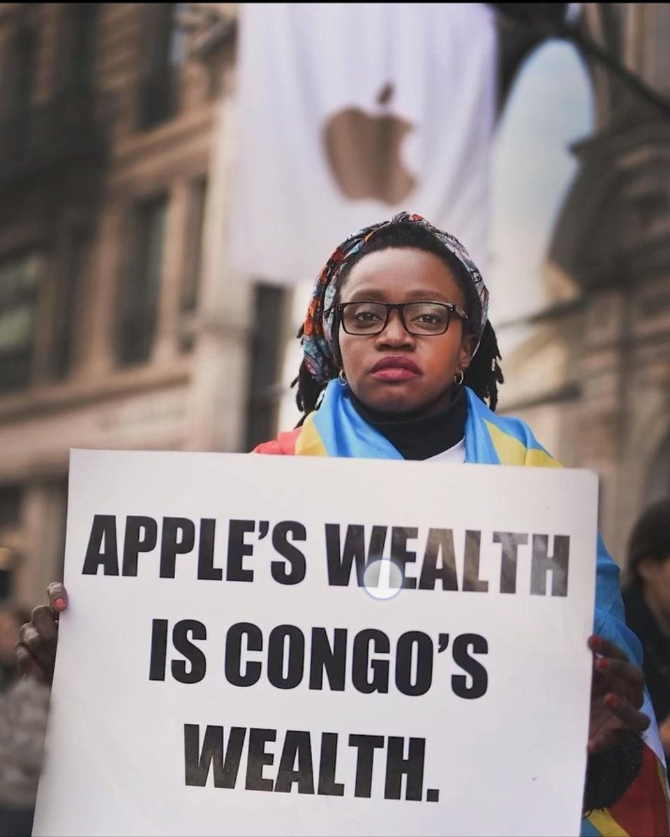 Geno-Cost Congo tweet media