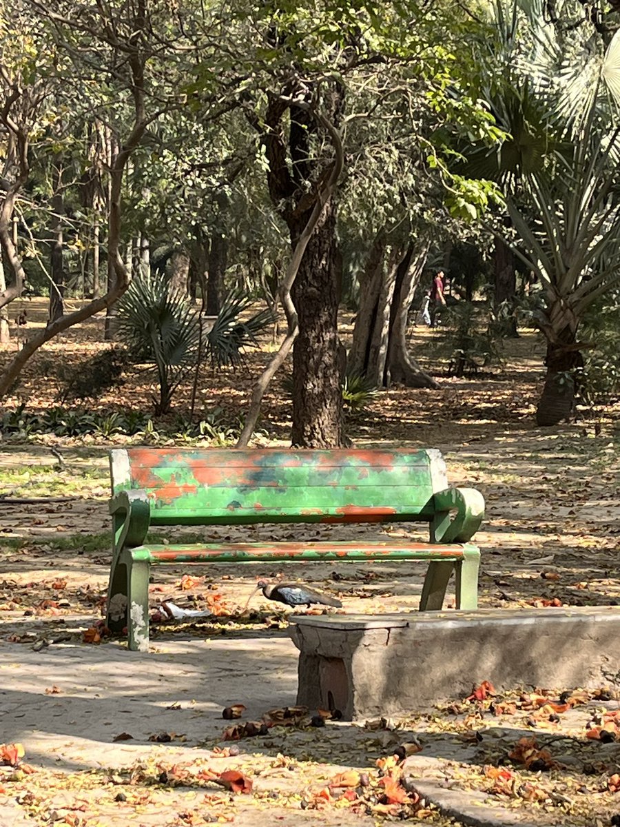 Neha Sinha tweet media