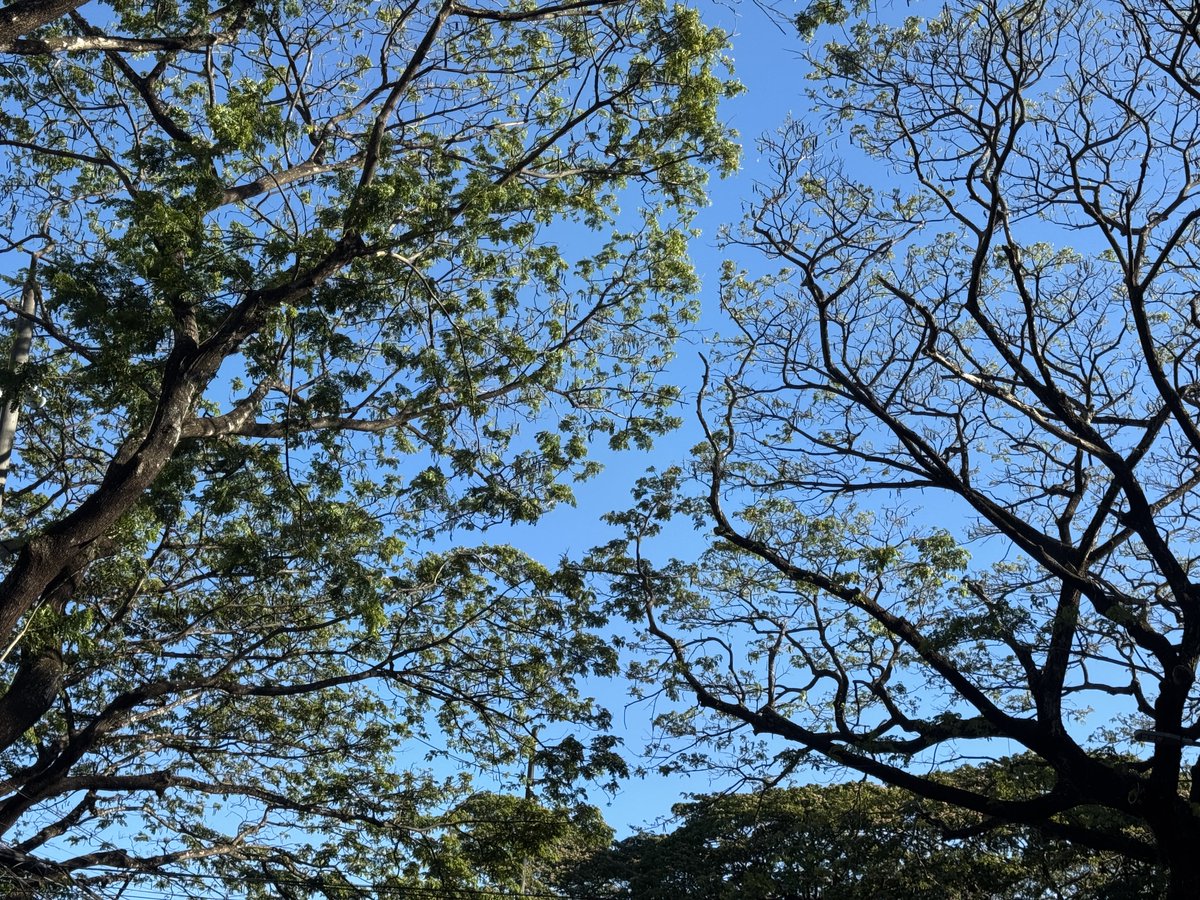 Angelo🤓 tweet media