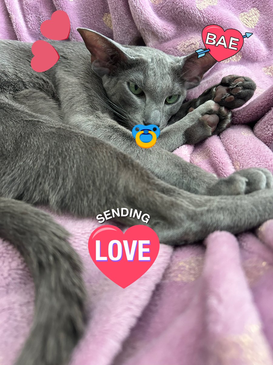 stinkbutt mclovin tweet media