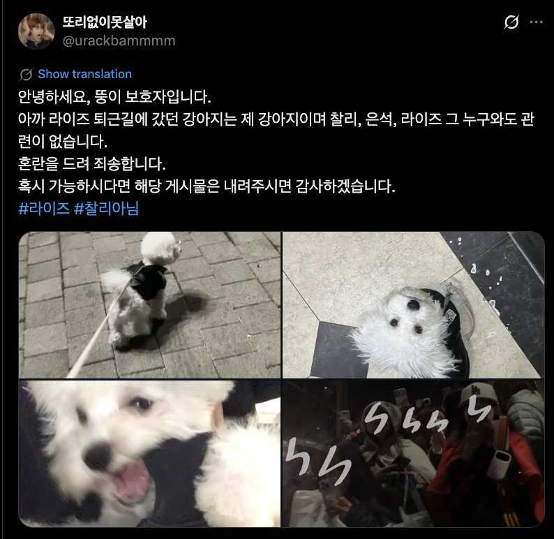 Dolfs, Puppy yang terlihat di area konser RIIZE bukan Charlie (puppy milik Eunseok). Puppy tersebut adalah milik OP yang hadir di konser.

Mohon untuk tidak menyebarkan informasi yang salah terkait hal ini. Kami juga mengimbau Dolfs untuk membantu meluruskan informasi apabila