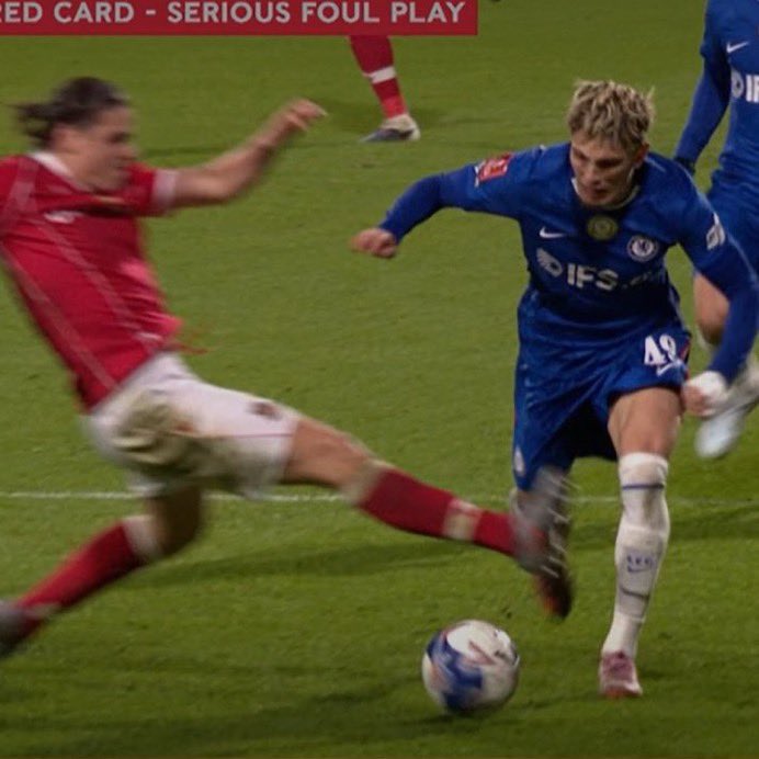 Terry Flewers tweet media