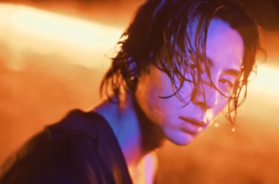 美しいどころの騒ぎじゃない