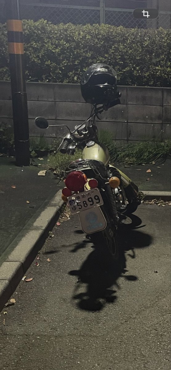 マチコ tweet media