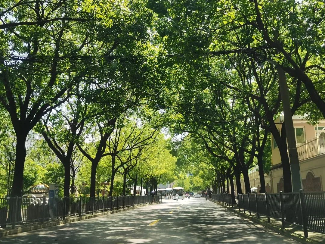 moises hernandez tweet media