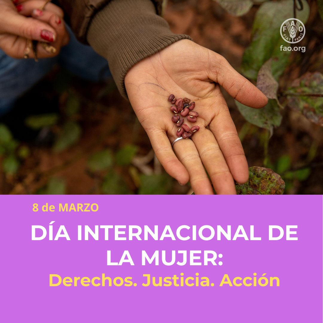 FAOParaguay's tweet photo. #DíaInternacionalDeLaMujer 2026

🔸Los derechos de las mujeres no significan nada si no podemos defenderlos.

🔸Destacamos el trabajo y la lucha de todas las mujeres, en especial de las #MujeresRurales por su importante rol en el fortalecimiento de los sistemas agroalimentarios. https://t.co/GNTmNFuUp4