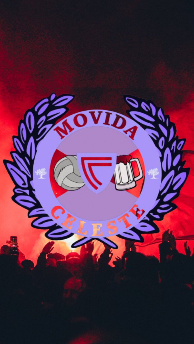 Movida Celeste tweet media