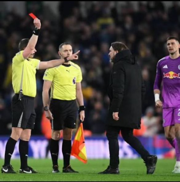 David Brown tweet media