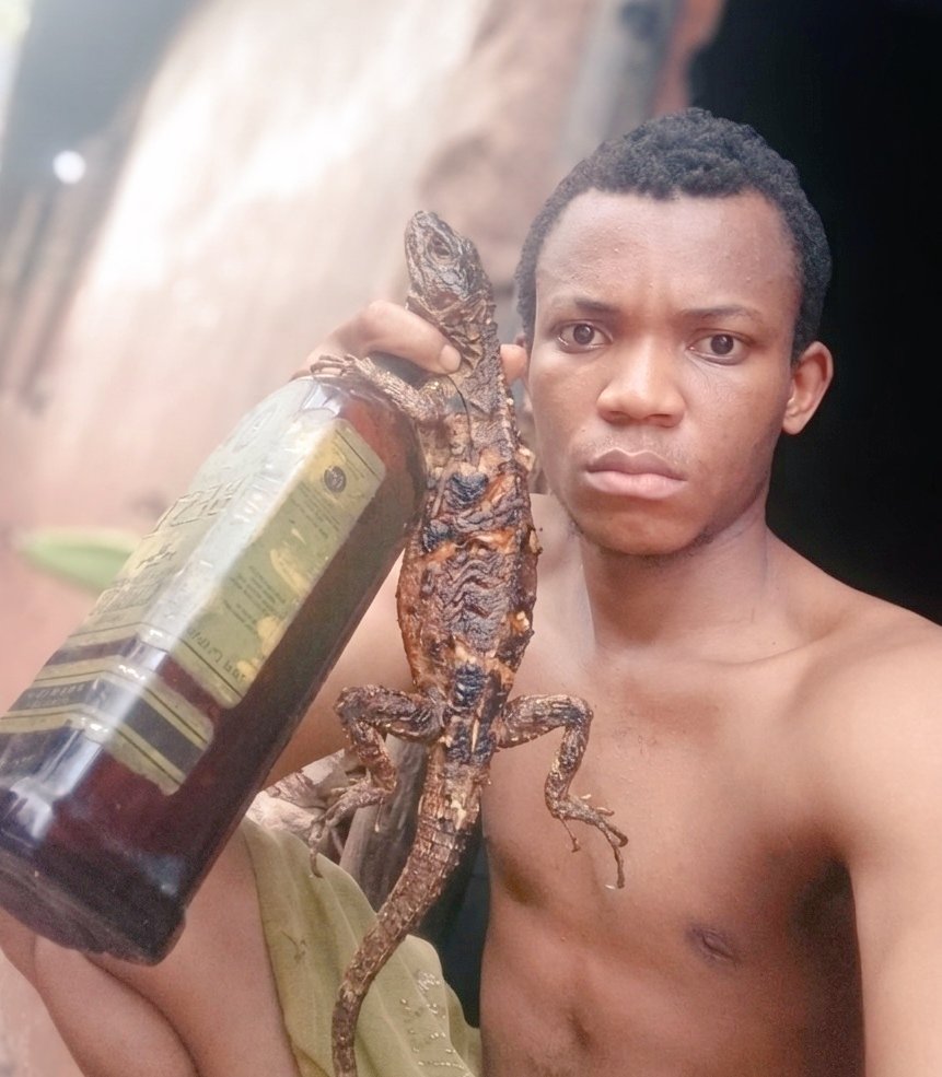 ℙ𝕒𝕤𝕔𝕙𝕒𝕝✭ tweet media