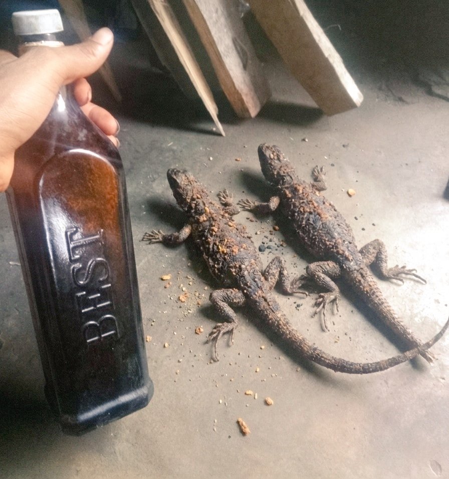 ℙ𝕒𝕤𝕔𝕙𝕒𝕝✭ tweet media