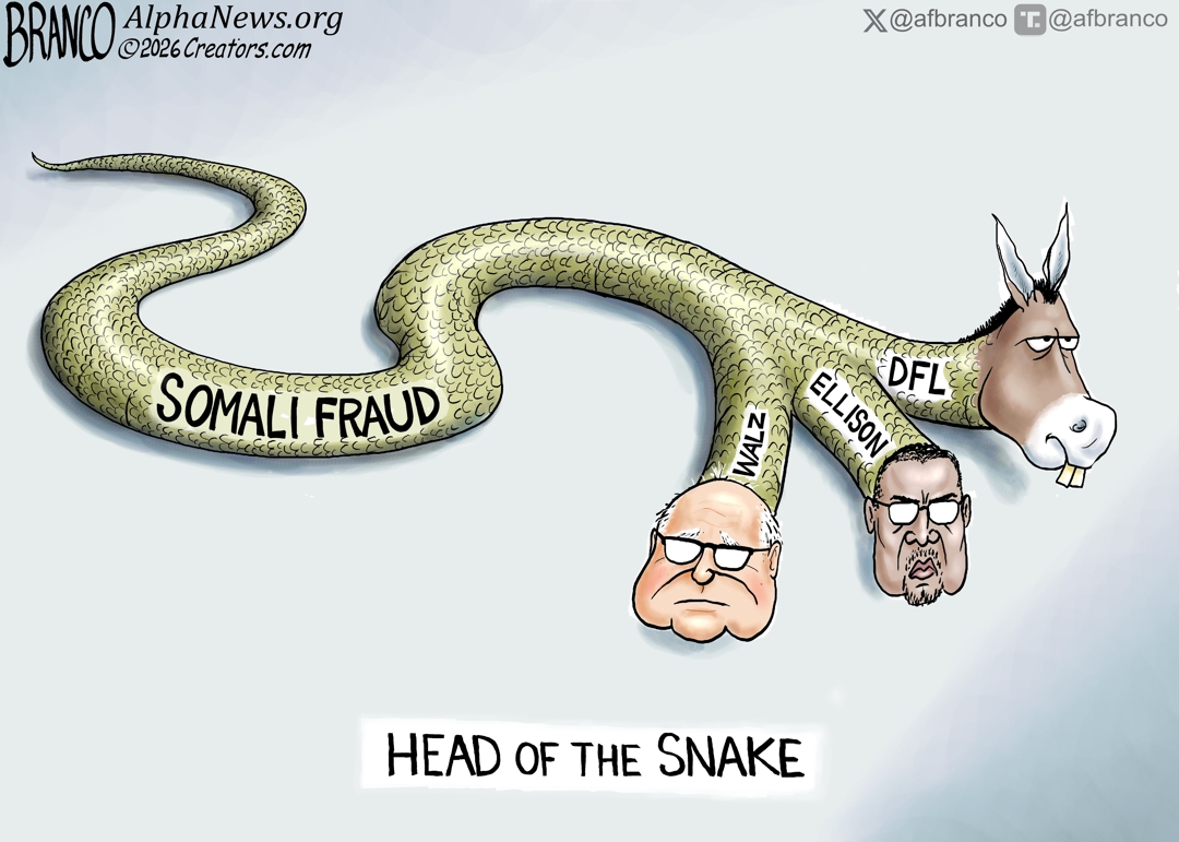 Alpha News Sunday cartoon