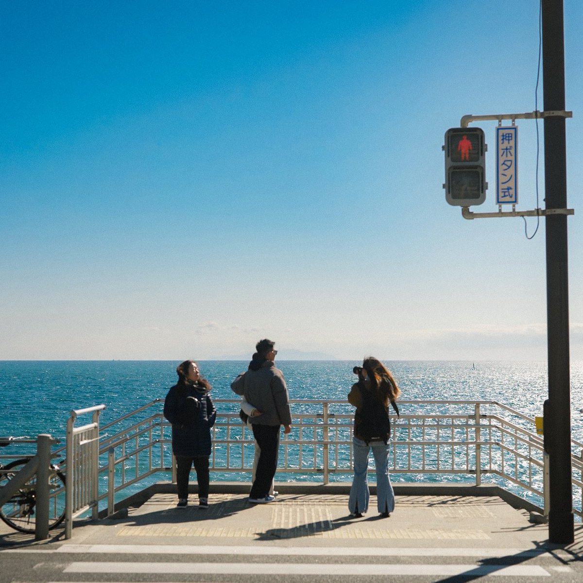 CatzCrewz tweet media