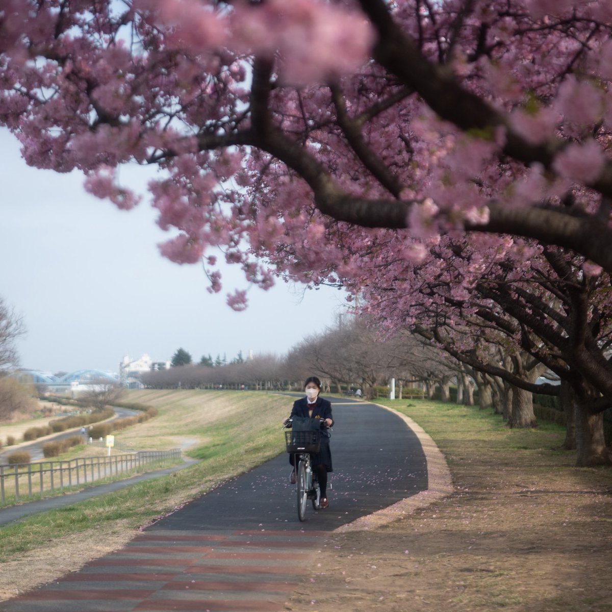 CatzCrewz tweet media