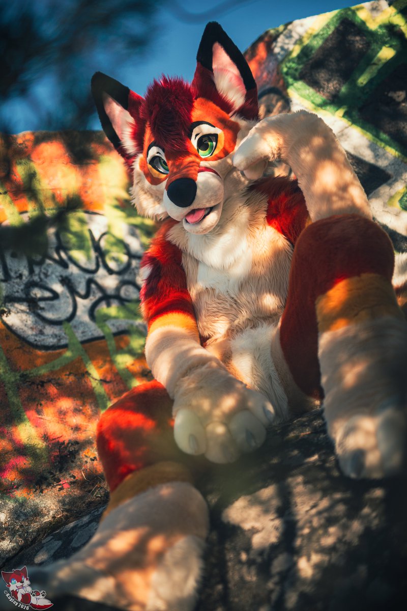 Nightless tweet media