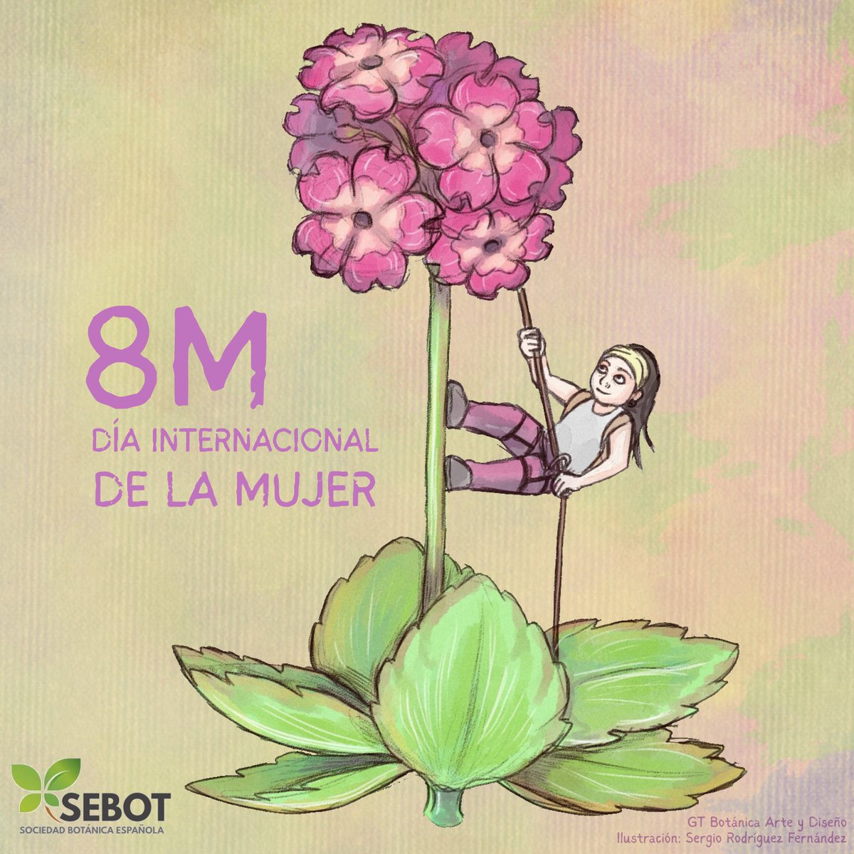 Grupo de Trabajo de Diversidad e Igualdad (SEBOT) tweet media